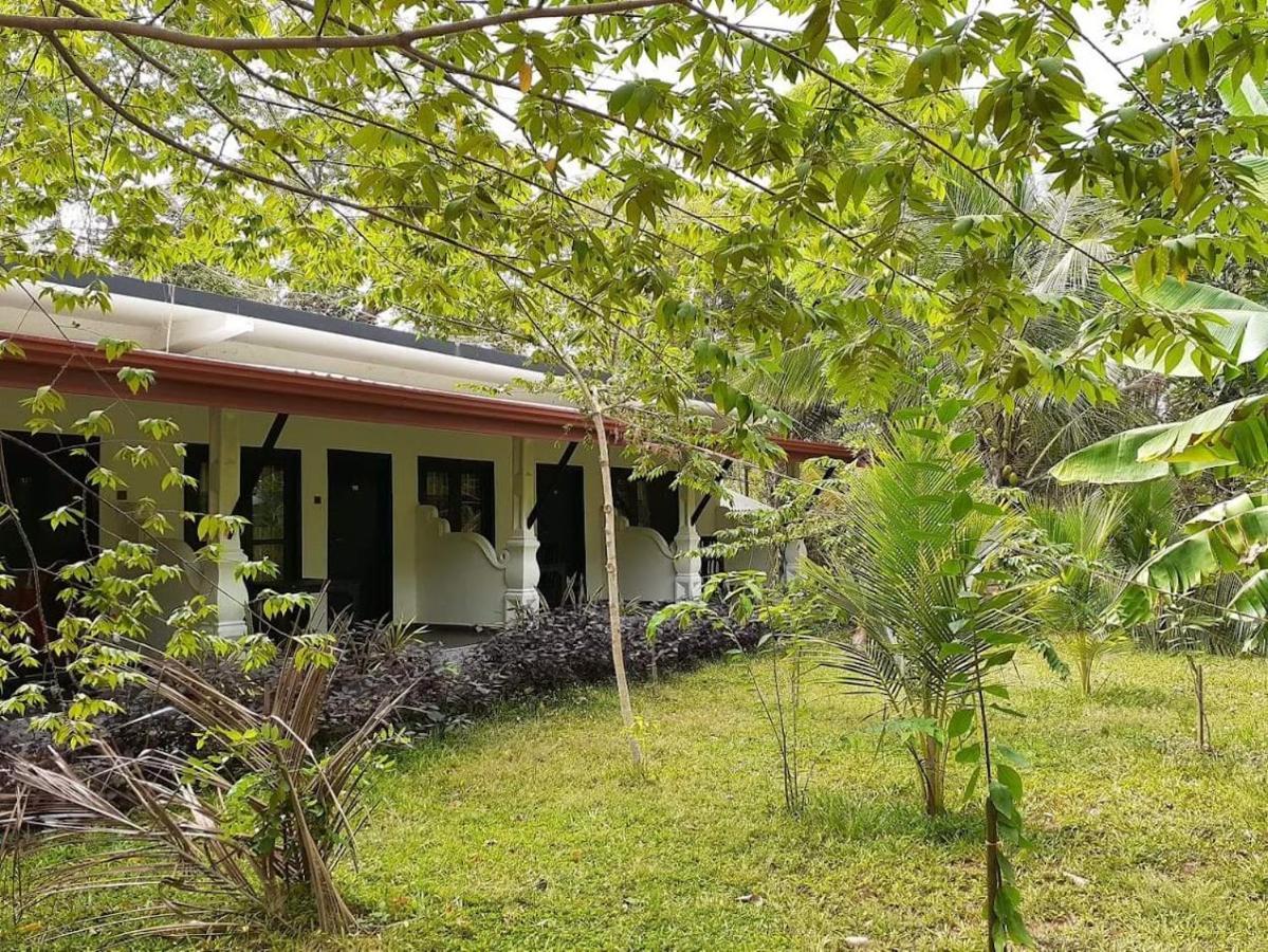 Amron Resort סיגירייה מראה חיצוני תמונה